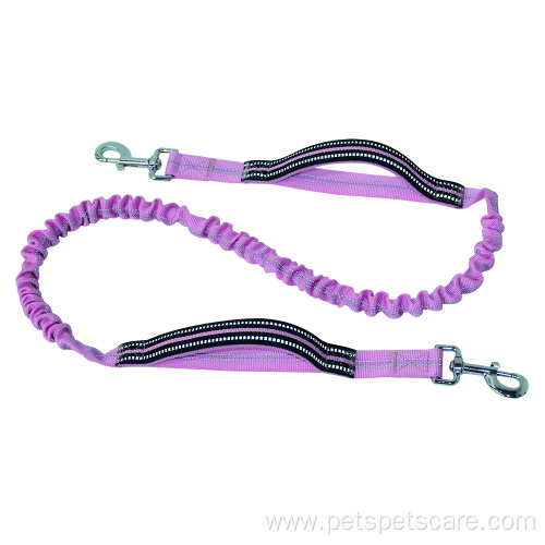 Eco-Friendly Dog Leash with heavy duty hook